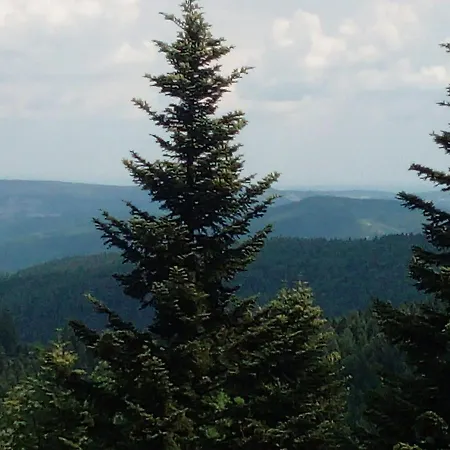 Domek Goralski Sasanka Chalet *